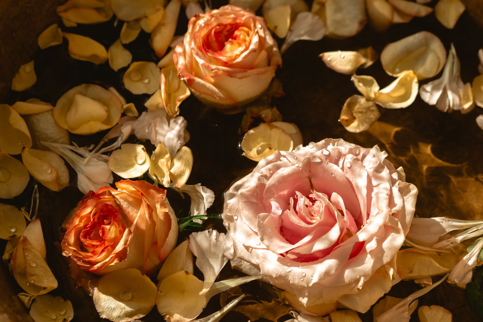 SPA rituāls “Maigā roze”