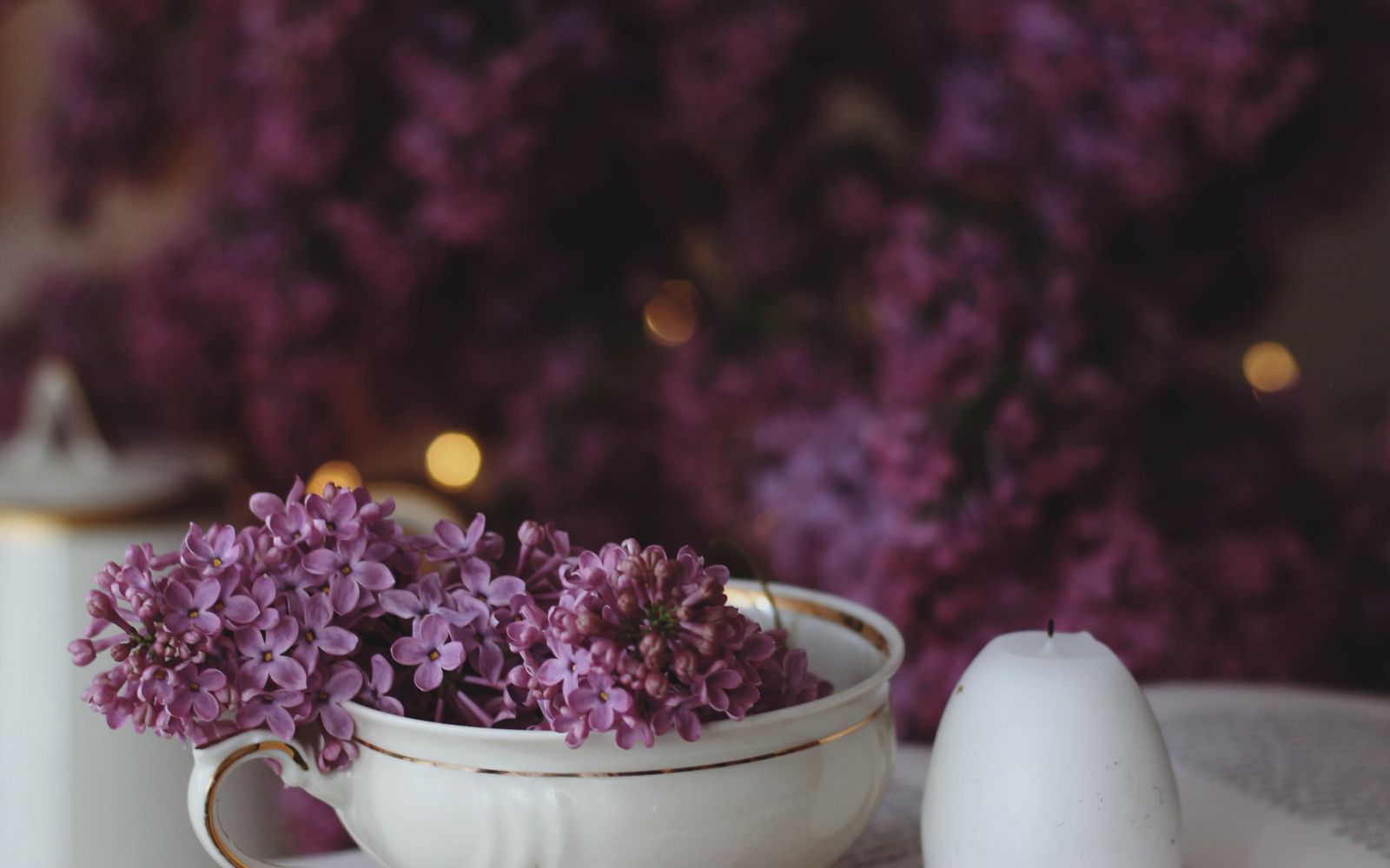 SPA rituāls “Pavasara burvība” pārim